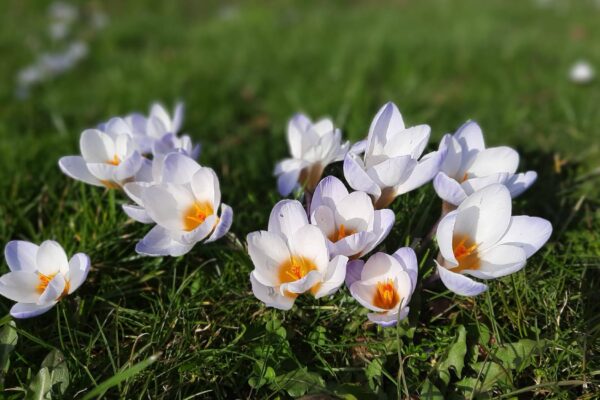 Uitnodiging “Open avond” op donderdag 8 mei 2025 in de Doopsgezinde kerkOp zoek naar elkaar in een veranderende wereld